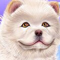 Chow Chow Spa Salon Games : Since his last visit on the spa salon for the animal this re ...