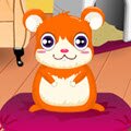 Cute Hamster Daycare Games : Have you hugged your hamster today? Adopt a cute little hams ...