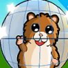 Downhill Hamsterball Games : This hamster is loose and ready to go on a rollicking roll t ...