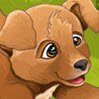 Hanna's Sweet Puppies Games : Hanna loves her sweet puppies and she was always taking care ...