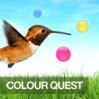 Color Quest Games : Take to the skies as a hummingbird, then dive to the depths ...