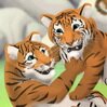 Tiger Nursery x