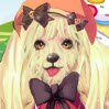 Cute Puppy Show Games : Almost every girl love pets! Many girls love cats,but I love ...