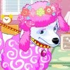 Fluffy Poodle Games : What if you could run your own fancy pet beauty sa ...