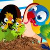 Bird House Games : Aren't these bird chicks and their birdie mom like ...