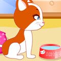 Cute Kitten Daycare Games : Keeping kitties content is a full-time job. Adopt an adorabl ...
