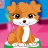 Happy Pets Games : The pets host will be out, she has to ask you to take care o ...