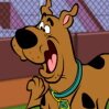 Scooby-Doo Hurdle Race Games