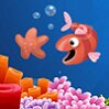 Star Fish Games