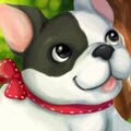 Grace Bonjour Bonbon Games : Grab floating dog treats earn points. Jump over obstacles by ...