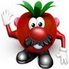 Tomato Man x