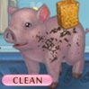 Little Piggy Games : Help Babe get some exercise and then clean Babe so she can c ...