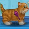 Kitten Care Games : You just got a new kitten! She is the cutest little kitten a ...