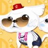 Pet Dressup Games