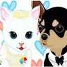 Pet Dressup 12 Games