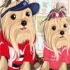 Pet Dressup 5 Games