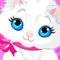 Taking Bath For Your Cat Games : Every child loves animals and cats are the most loved by gir ...