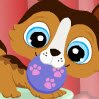 Pet Talents Show Games : Click on any pet to play their trick. You can play ...