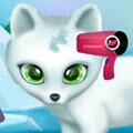 Paws to Beauty Arctic Games : You have again to take care about of cute animals. Only this ...