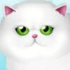 Paws to Beauty Games : Even pets like to look their best! Grab your mouse and give ...