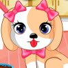 Cute Puppy Daycare Games : Pamper a precious puppy from the pound! ...