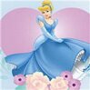 Cinderella Puzzle