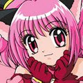 Tokyo Mew Mew Team