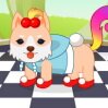 Pet Top Model Show Games : Style and dressup your pets for the pet top model ...