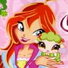Winx Pets Keyboard Games : Ginger, star of the animal magic, you will test wi ...
